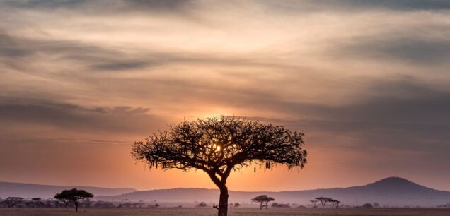 Afrique du Sud