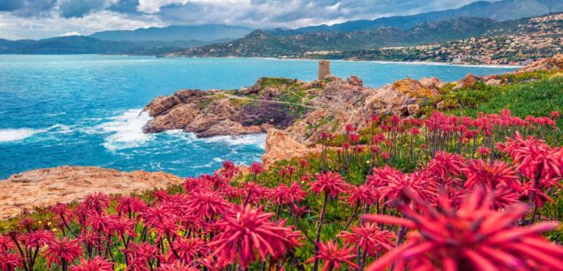 Corse